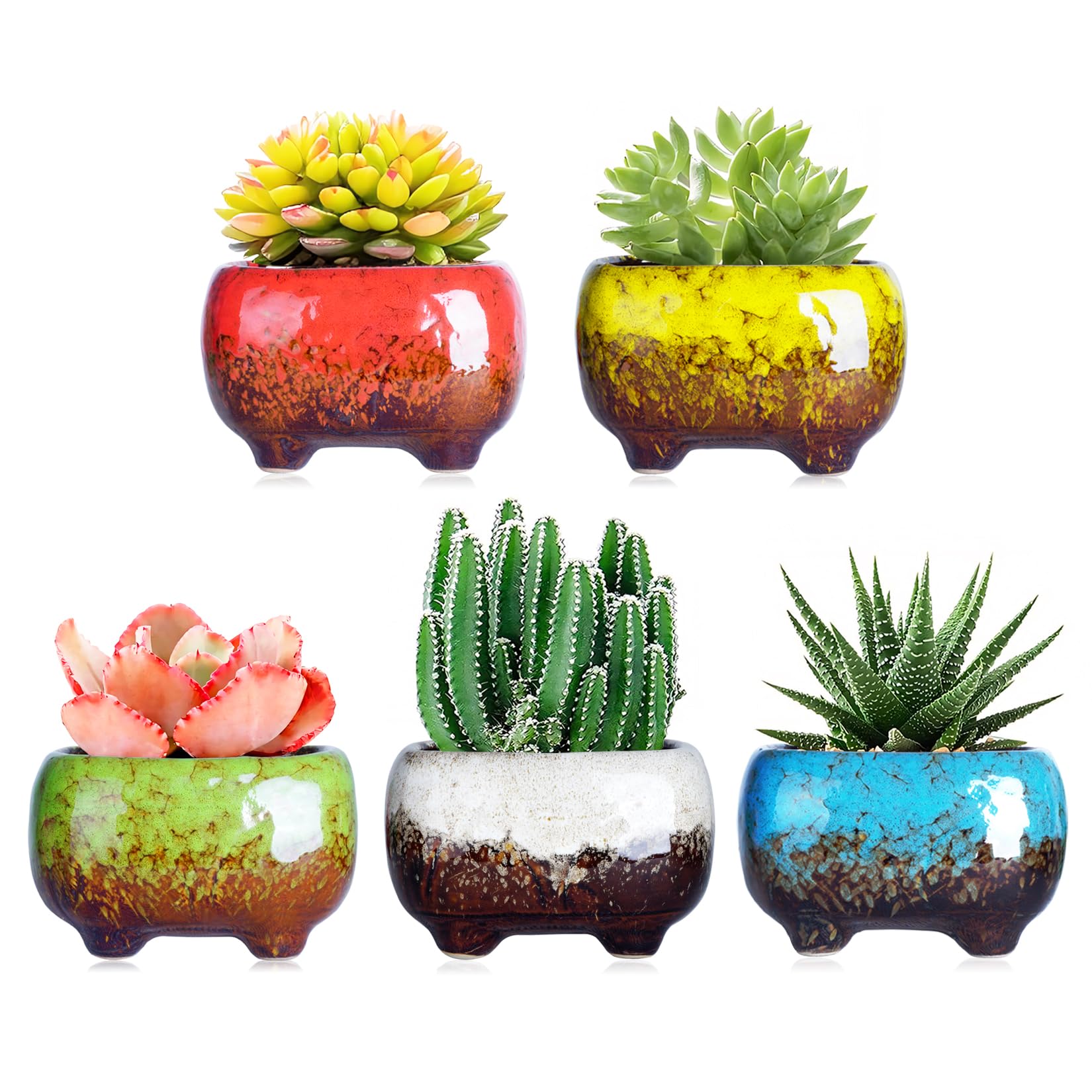 ARTKETTY Succulent Plant Pots - 12 CM Ceramic Cactus Plant Pots with Drainage Hole Small Flower Plant Pots for Indoor/Outdoor Pack of 5
