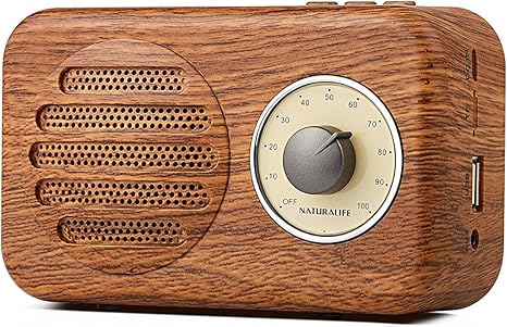 qoosea retro radio