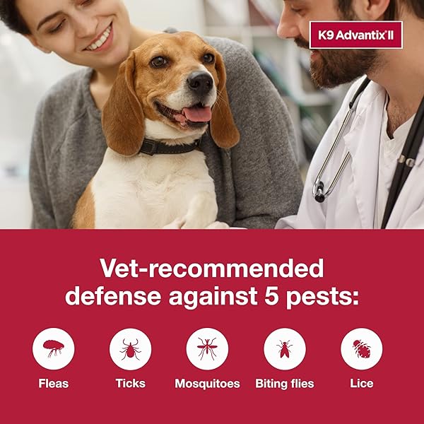 K9 ADVANTIX II MEDIUM DOG VET-RECOMMENDED FLEA, TICK & MOSQUITO TREATMENT & PREVENTION | DOGS 11-20 LBS. | 2-MO SUPPLY