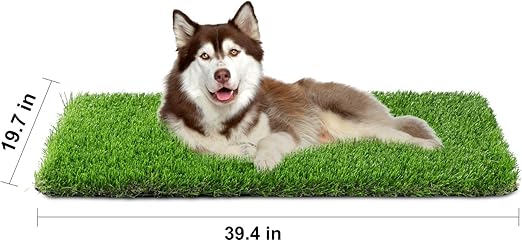 amazon dog grass pad