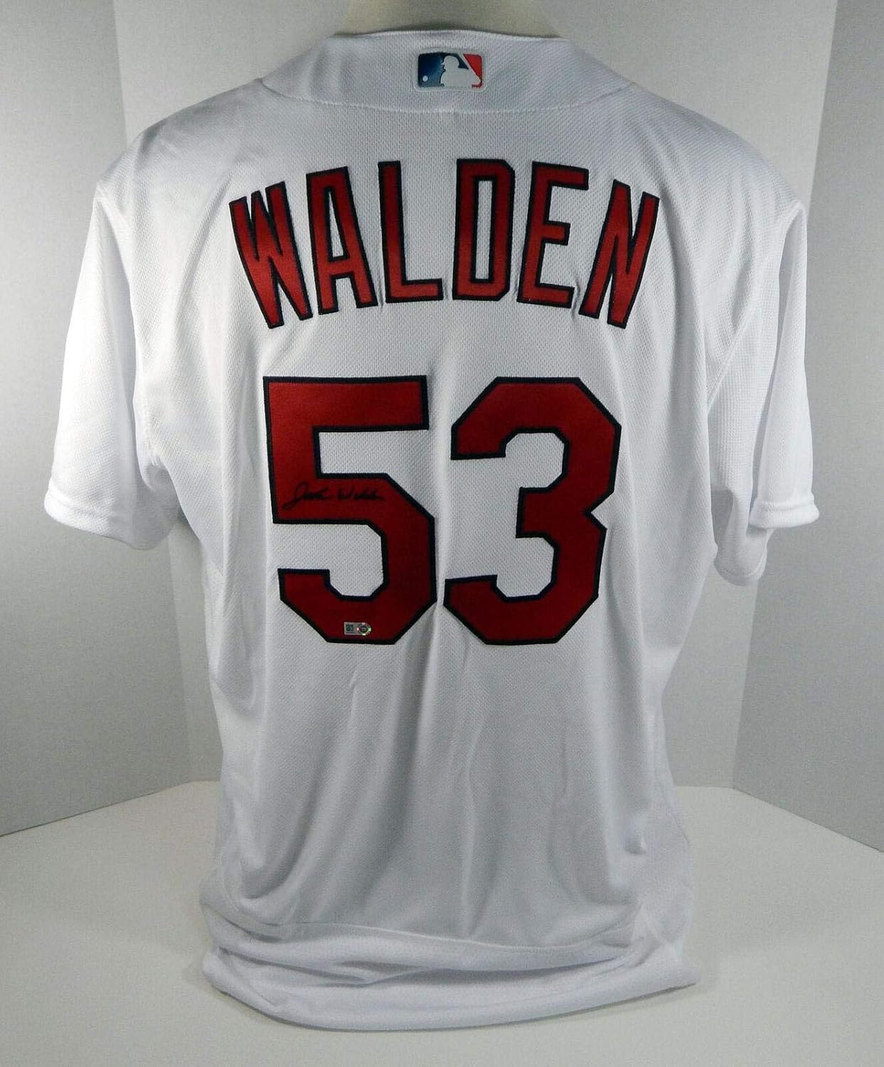 jordan mlb jersey
