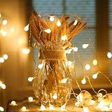 Fulighture Fairy Lights Battery Operated 5m 40LED Globe String Light Warm White view 2