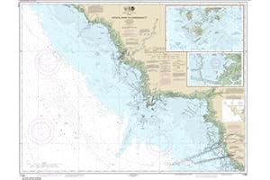 EAST VIEW MAP LINK NOAA Chart 11408-Crystal River to Horseshoe Point; Suwannee River; Cedar Keys by East View Geospatial