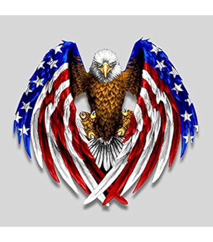 Amazon.com: American Flag Eagle Head Large Decal 8