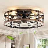 LEDIARY 20" Caged Low Profile Ceiling Fan with Light and Remote Black Gold | Flush Mount, Bladeless Enclosed Fandelier, 6 Speed, Quiet Powerful DC, Rustic,Farmhouse, Small, Bedroom, Kitchen, Indoor