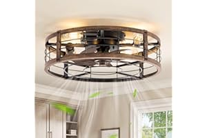 LEDIARY 20" Caged Ceiling Fan with Light and Remote, Low Profile Flush Mount Fandelier, Black Gold Bladeless Enclosed Small Fan Lights Ceiling Fixtures, Rustic Farmhouse Style for Bedroom, Outdoor