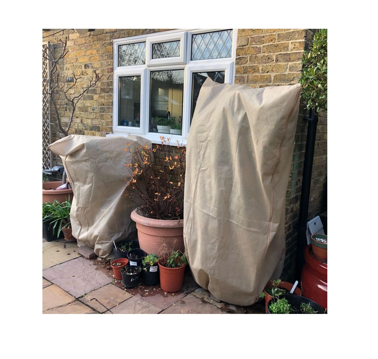 Gardening Naturally Garden Fleece Bag Jacket 70gsm Vanilla Drawstring Heavyweight Pack of 2 1.2m x 1.8m