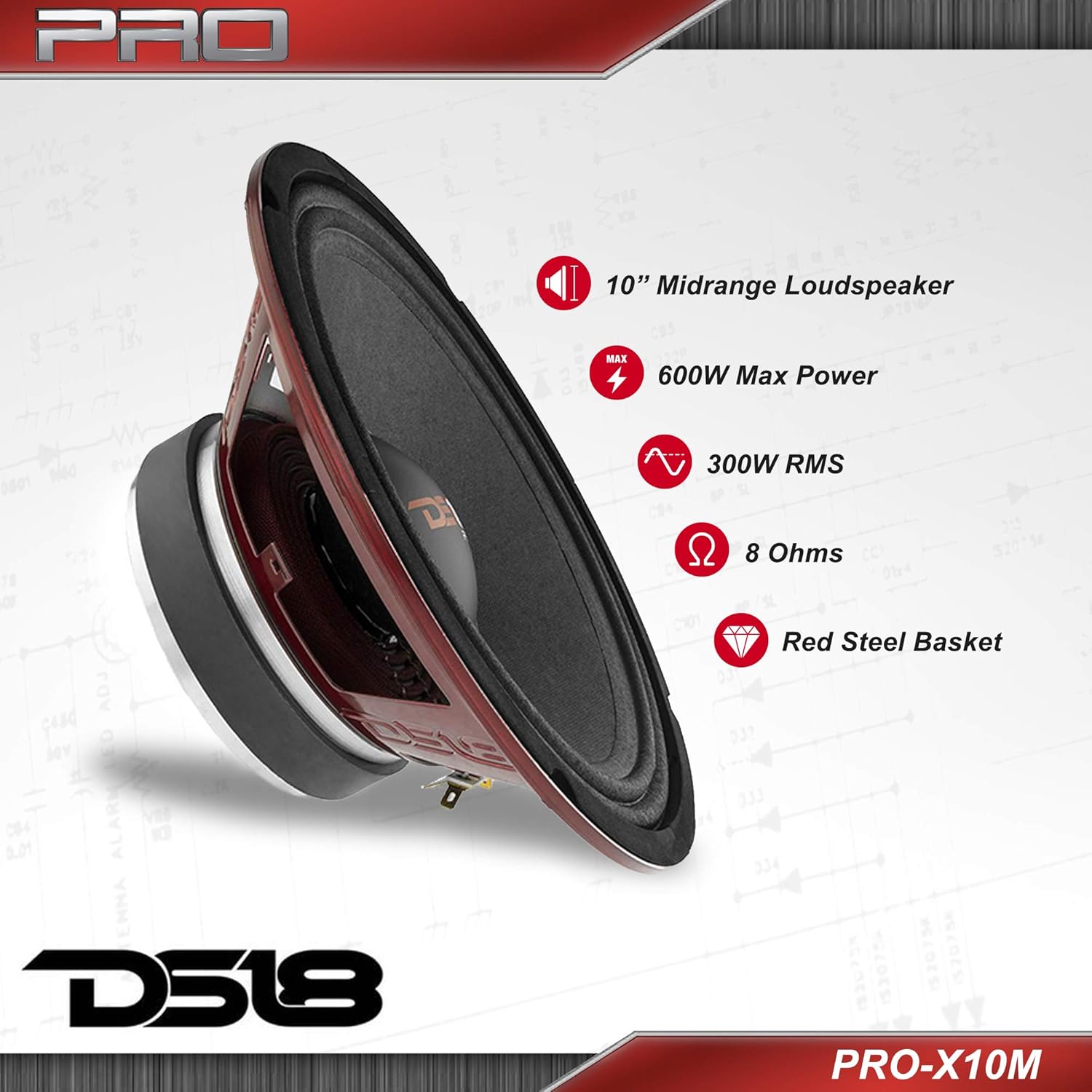 ds18 pro x10m