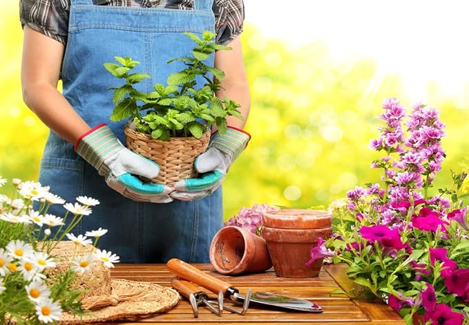 Solabiol Fertilizante 100% organico para frutos rojos y ...