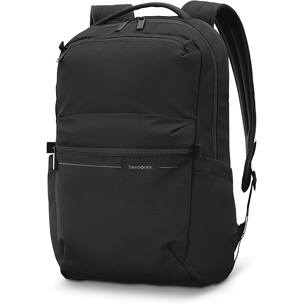 Amazon.com | Samsonite Xenon 3.0 Slim Laptop Backpack, 1680D