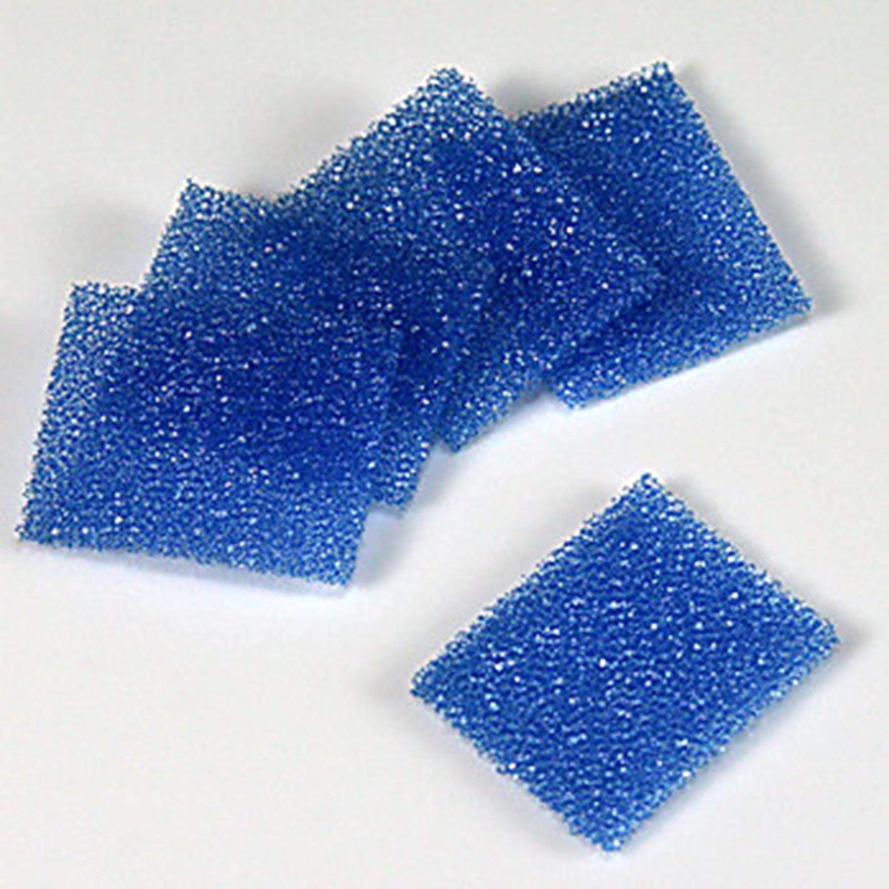 Globe190195 Scientific Biopsy Pad for Cassettes, Foam, Blue, 30.2mm x 25.4mm x 2mm, 1000/Pack - GLO
