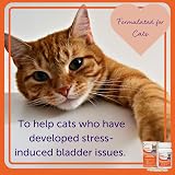Feliway Cystease 30 Capsule Pack for Cats Urinary Tract Health view 8