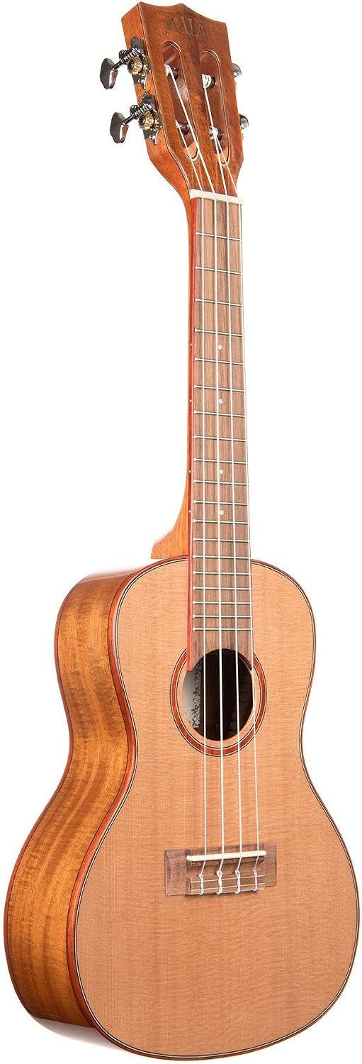 concert ukulele ukuleles buyer ideal largest market under