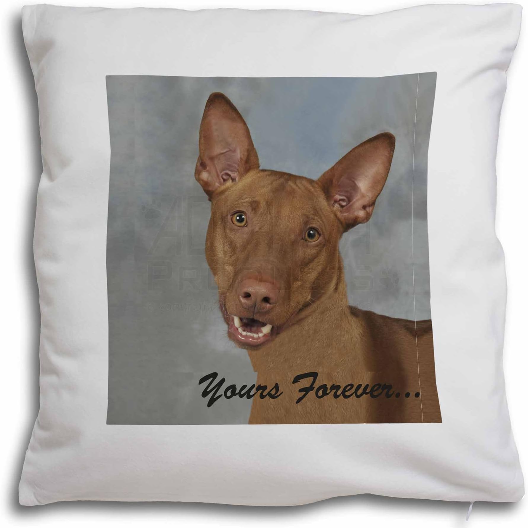 Advanta Group Pharaoh Hound 'Yours Forever' Soft Velvet Feel Cushion Cover With Inner Pillow