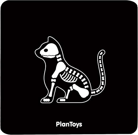 plan toys vet