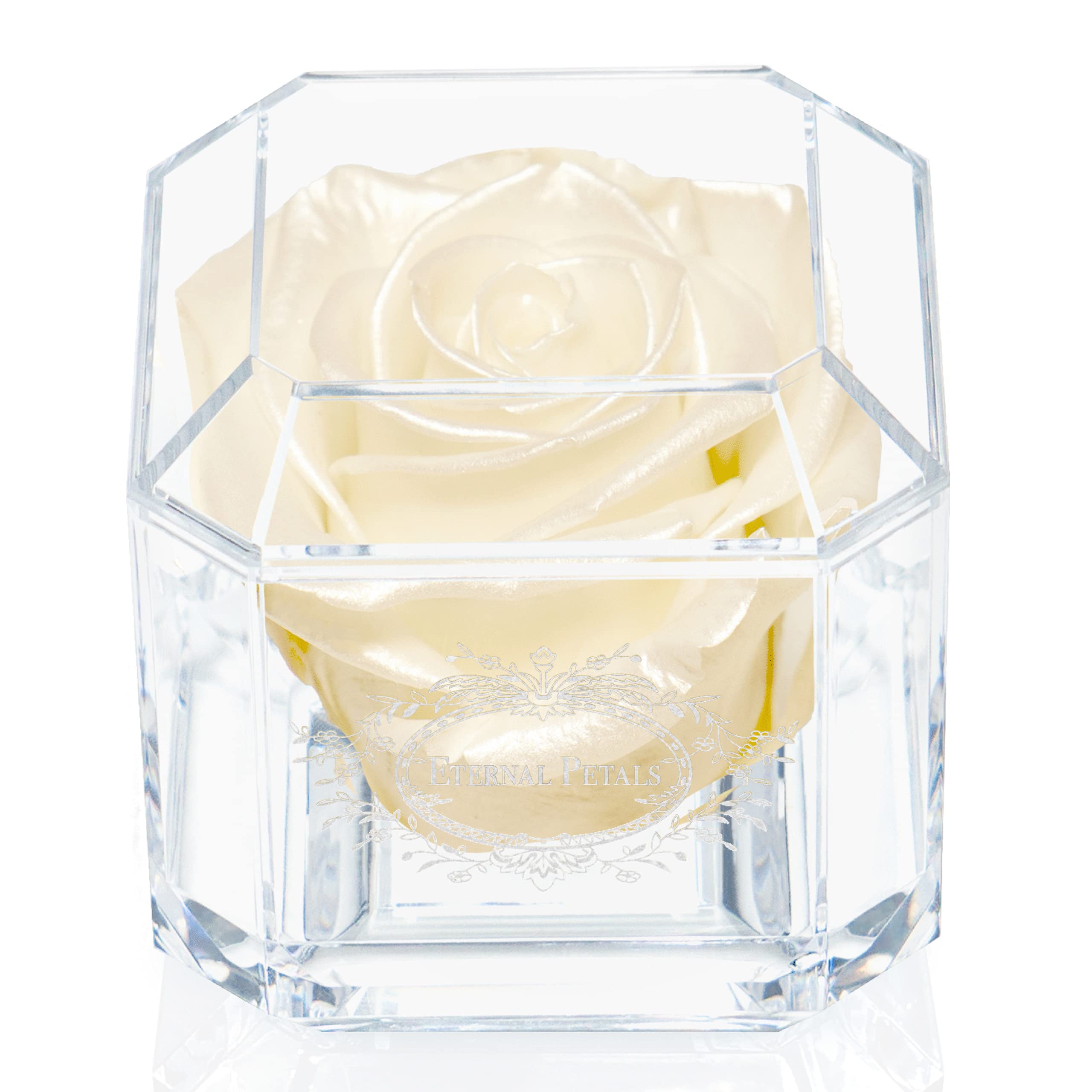 A 100% Real Rose That Lasts Years - Eternal Petals, Handmade in UK – White Gold Solo (Champagne Satin)
