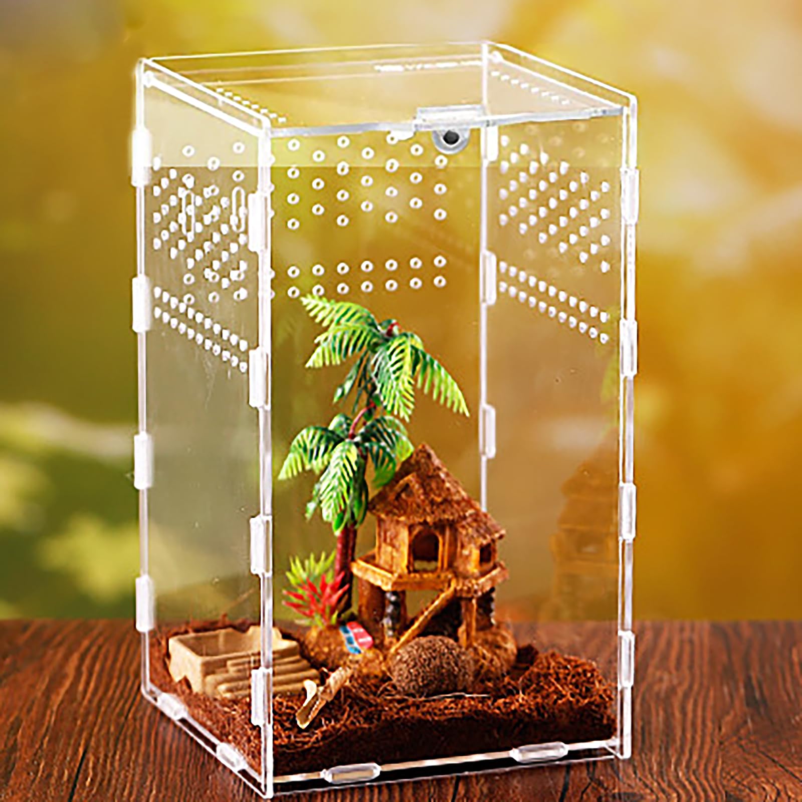 xixibuy Reptile terrarium tank, Terrarium Breeding Box, Mini reptile tank, Terrarium Kit for Spiderlings,Insect,Snail,Gecko,Bearded Dragon(Acrylic-12*12*20cm)