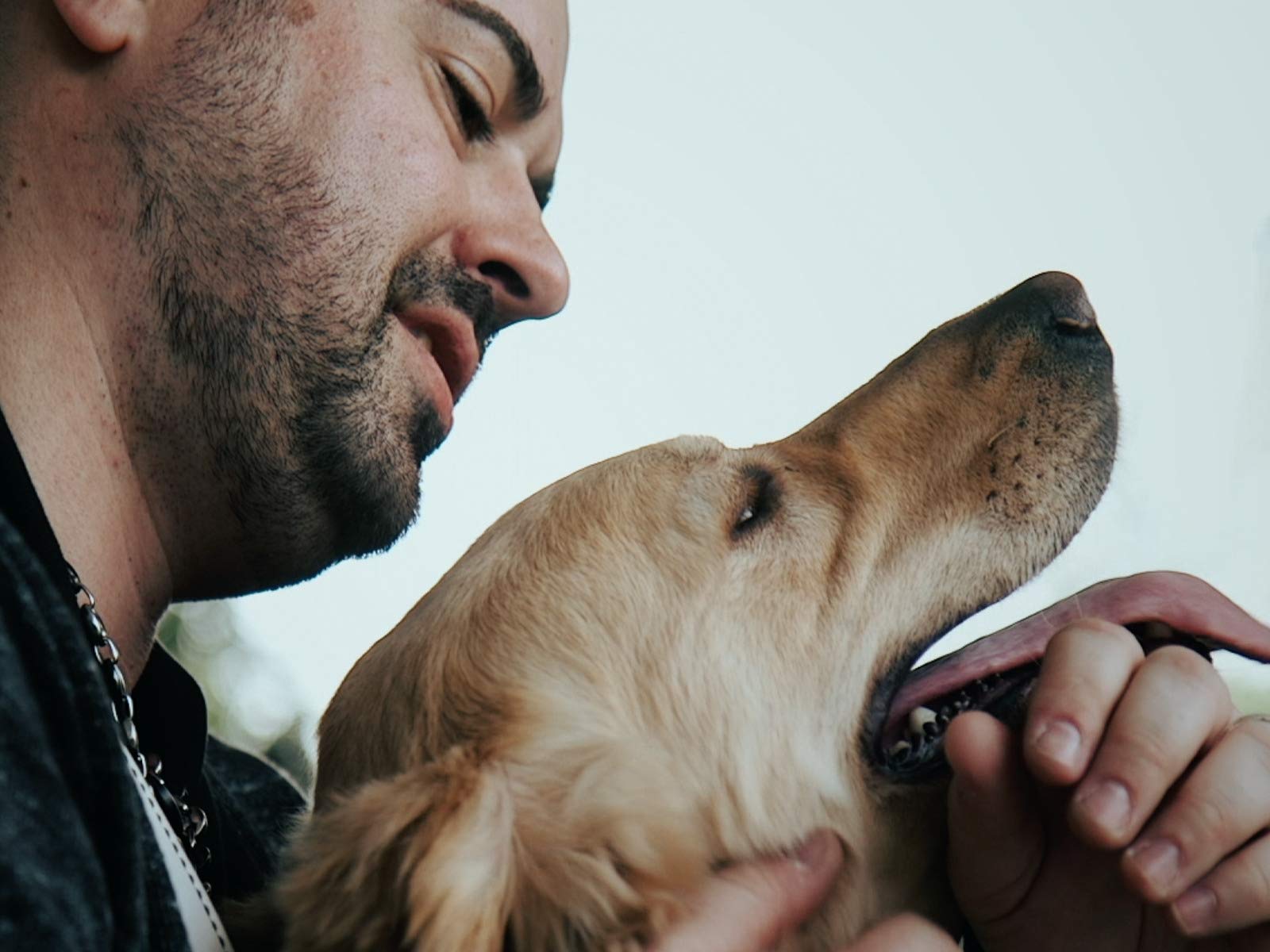 a new leash on life the k9s for warriors story