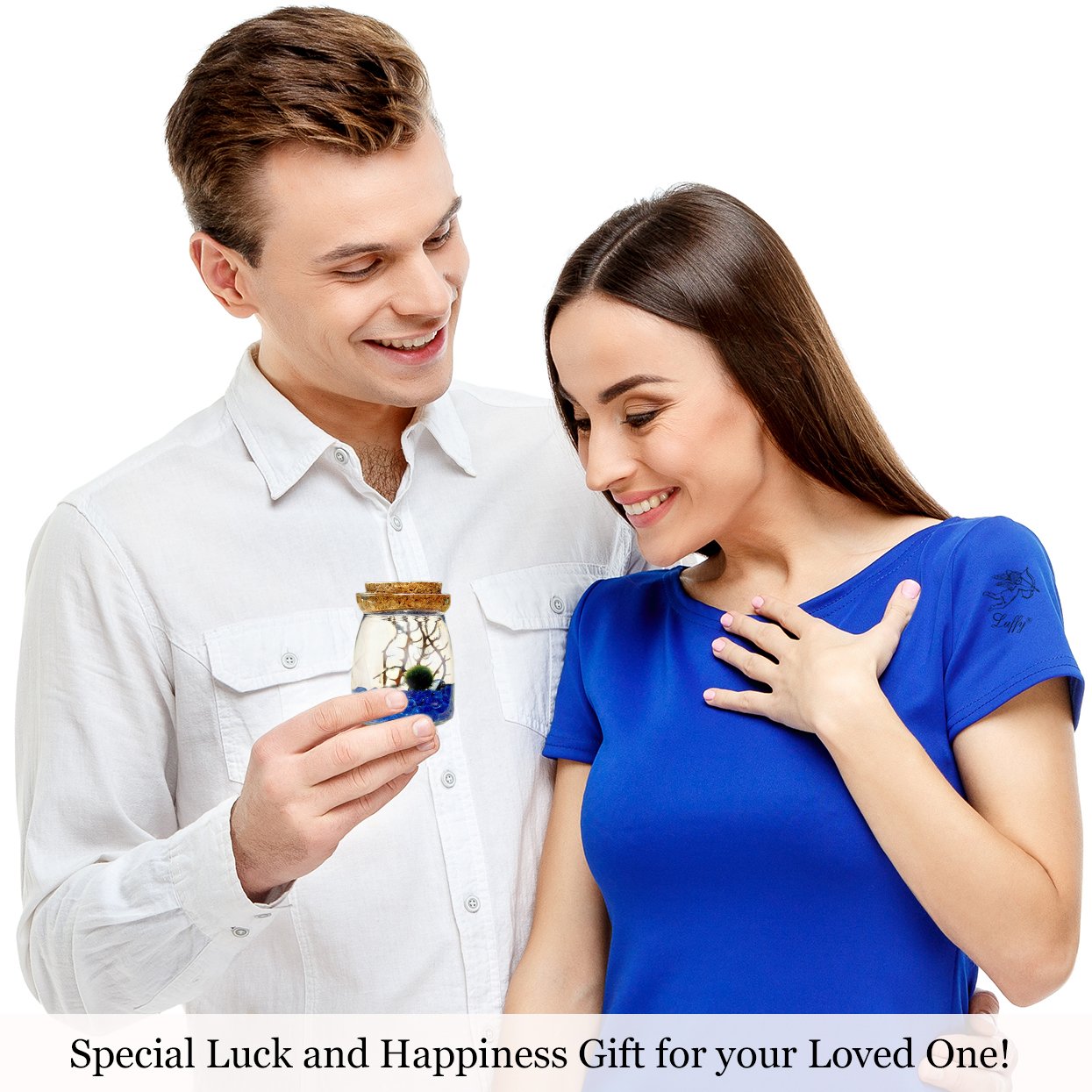 LUFFY Betta Balls: Live Marimo Plants : Natural Toys for Betta Fish : Aquarium Safe (Nano(Gift-Pack))