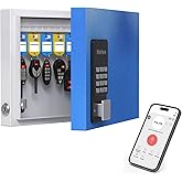 16 Key Lock Box Smart Key Organier Cabinet with Keypad &amp; App for Office | Wall Mounted Lockbox use Bluetooth, Custom/One Time Password, WiFi (Need W100 Bridge) Unlock for School, Office, Fleet, Hotel