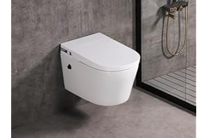 MEJE #T010W - New Wall Hung Toilet Combo, Wall Mounted Toilet Bowl with Built in Water Tank, Soft Close Seat, Dual Flush, Whi