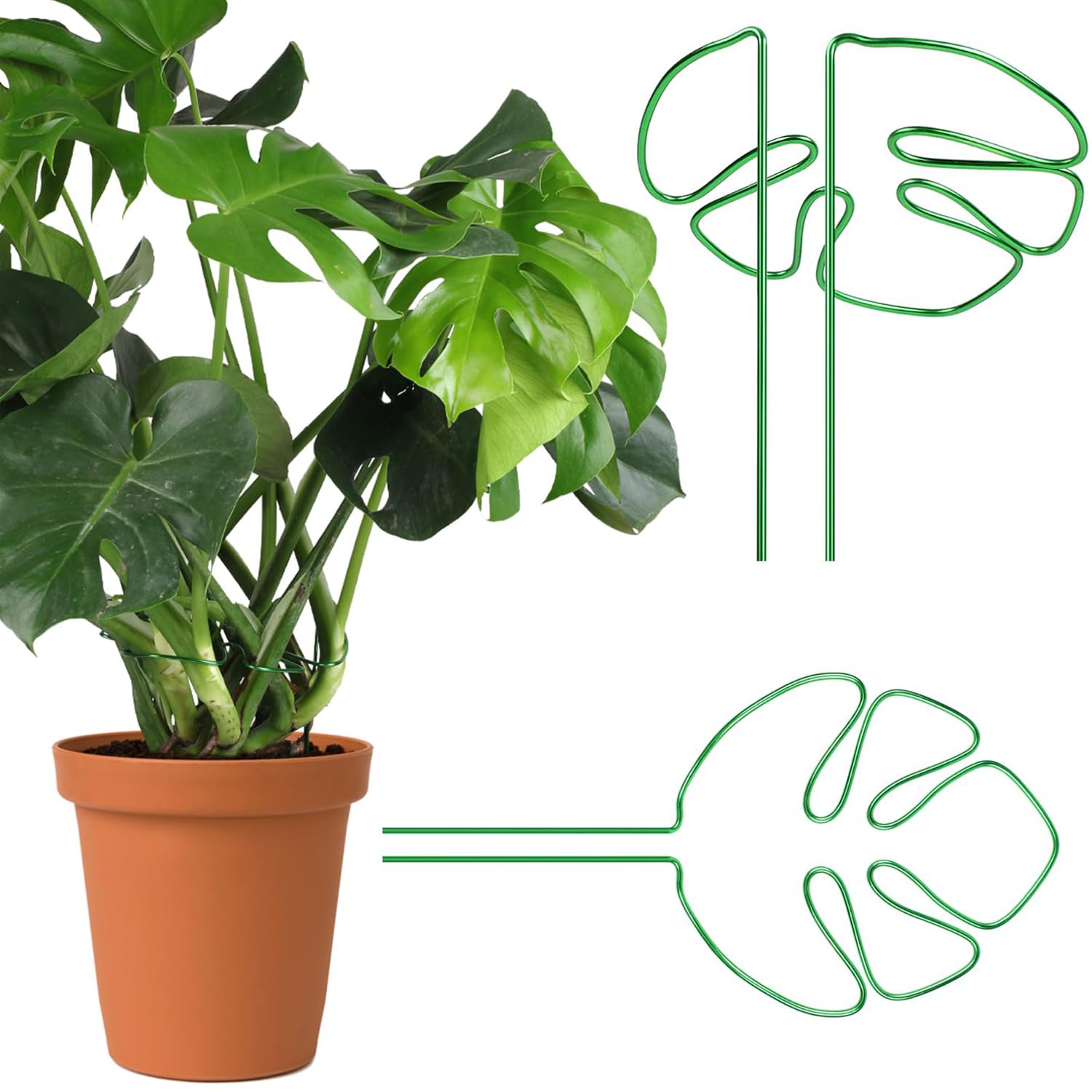 Photo 1 of 2 pcs Monstera Plant Support,Unique Monstera Shaped Plant Support Ring,Plant Support Stakes for Outdoor Plants and Indoor Plants (Green)