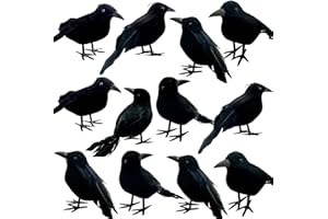 MEDOORE 24 Pieces Halloween Black Crows Feathered Crows Realistic Looking Halloween Handmade Feathered Crow for Halloween Indoor Outdoors Ravens Birds Decoration, 3 Styles