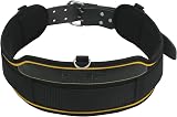DeWalt Heavy-Duty Tool Belt 1200D Polyester Leather D-Ring 2-Pin Buckle view 2