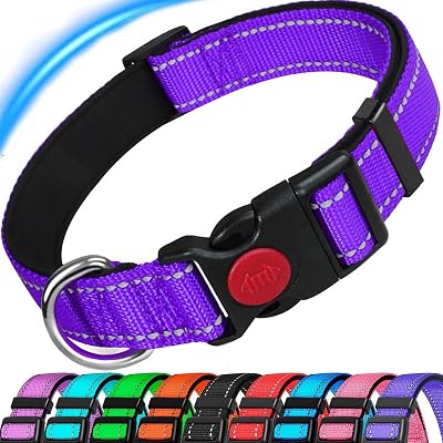 ATETEO Reflective Padded Dog Collar Medium 13-19.7 in Purple