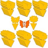 96PCS Fruit Fly Sticky Traps, Gnat Traps Insect Trap for Plants Kitchen Indoor and Outdoor