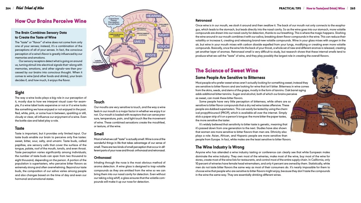 Rebel School Of Wine: A Visual Guide to Drinking with Confidence