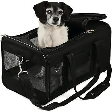 Transportador Expandible Para Gatos Y Perros Portátil GENERICO
