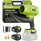 Saker Cordless Leaf Blower Handheld Blower Portable Dust Cleaner 180000 RPM with Adjustable Speed for Drying Patio Cleaning Camping Gifts 2 Batteries Green with Case