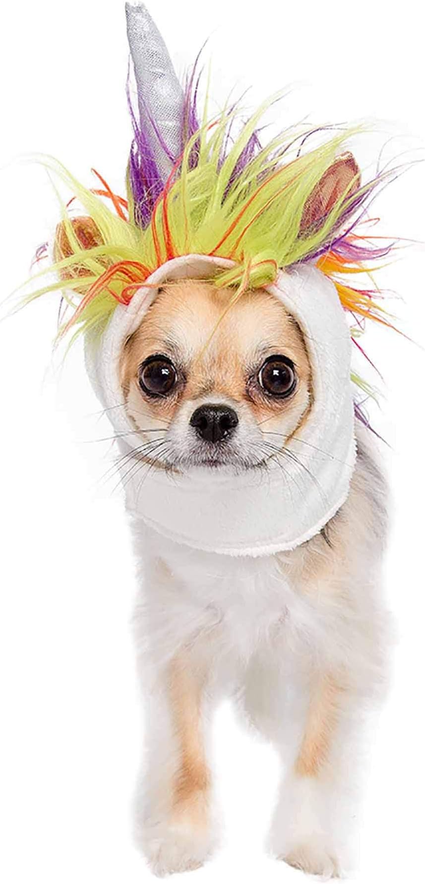Pet Krewe Lion Mane Costume | Small Lion Costume for Cats & Dogs and Large Mane for Dogs