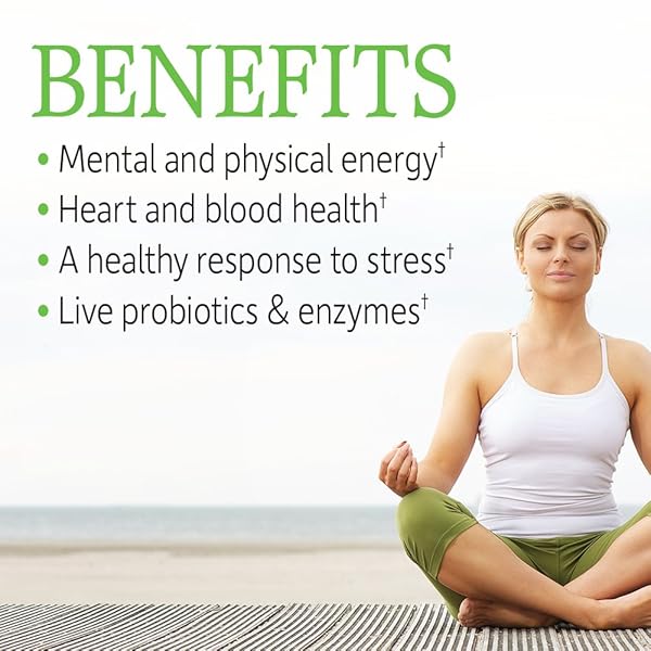 GARDEN OF LIFE VITAMIN B COMPLEX, 60 VEGAN CAPSULES, HIGH POTENCY VITAMINS FOR ENERGY & METABOLISM WITH B6, FOLATE & B12 AS METHYLCOBALAMIN PLUS PROBIOTICS