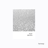 Hemway Silver Glitter Shaker 130g Ultrafine 1/128in Metallic Flake view 2