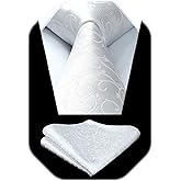 HISDERN Paisley Ties for Men Solid Tie Handkerchief Floral Men's Necktie & Pocket Square Set Wedding Classic Mens Ties