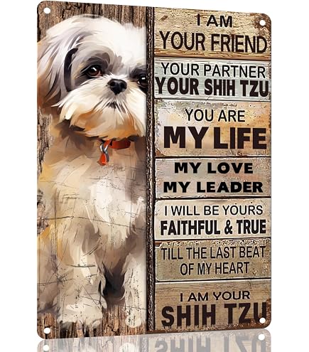Targa In Metallo Shih Tzu Once Upon A Time – 30,5x20,3 Cm, Vintage, Rustico, Decorazione Parete Per Casa E Bar - 3