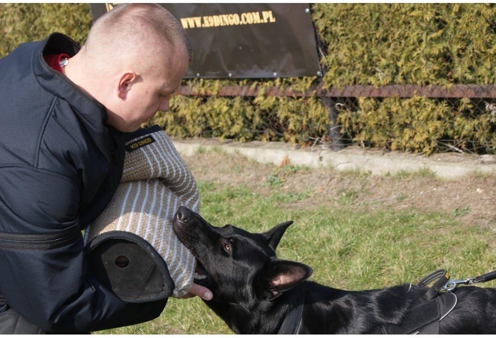 dog protection training gear