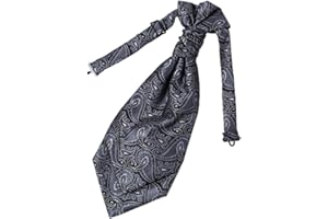 Epoint Cravat Necktie For Party Silk Pretied Ascot Cravat Tie 12 Inch Clip-On Adjustable