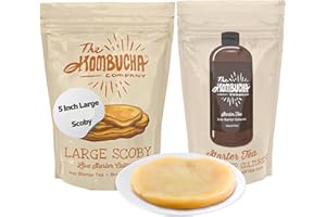 The Kombucha Company Large Kombucha Scoby | 16oz Bottle of Starter Tea & Brewing Guide l Makes One Gallon | Brew Kombucha from Home | Made From Purified Rainwater