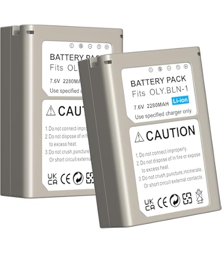 Amazon.com : BM Premium Fully Decoded BL-H1 Battery for Olympus OM