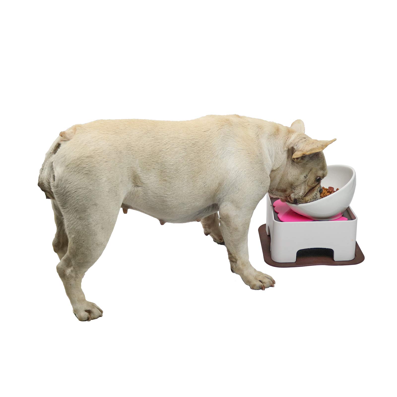 WZ PET Raised Ceramic Dog Feeding Bowl,Adjustable Elevated Dog Bowls Set Anti-Slip,Standing Pet Feeding Dish for Small Medium Dogs and Cats,White
