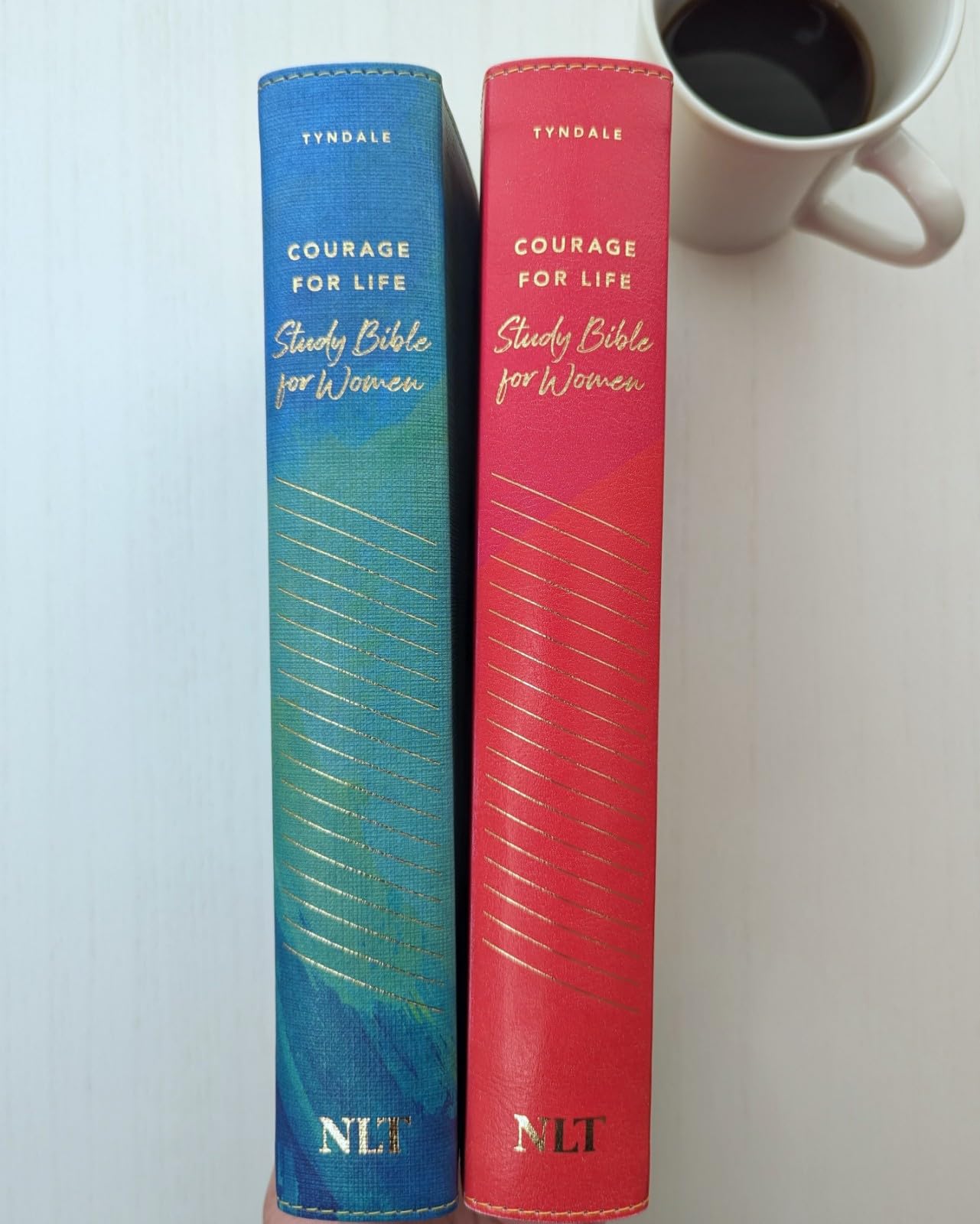 NLT Courage For Life Study Bible for Women, Filament Enabled (LeatherLike, Brushed Aqua Blue) NLT Courage For Life Study Bible for Women, Filament Enabled (LeatherLike, Brushed Aqua Blue) Imitation Leather