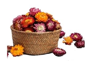 MOORCHOCO Natural Dried Daisy Flowers Heads - 55~60 Pcs Gerbera Daisies Real Sunflowers Chrysanthemum, Dry Flower Arrangements for Wedding Decor, Home Party Decoration and DIY Craft (Multi Colors)