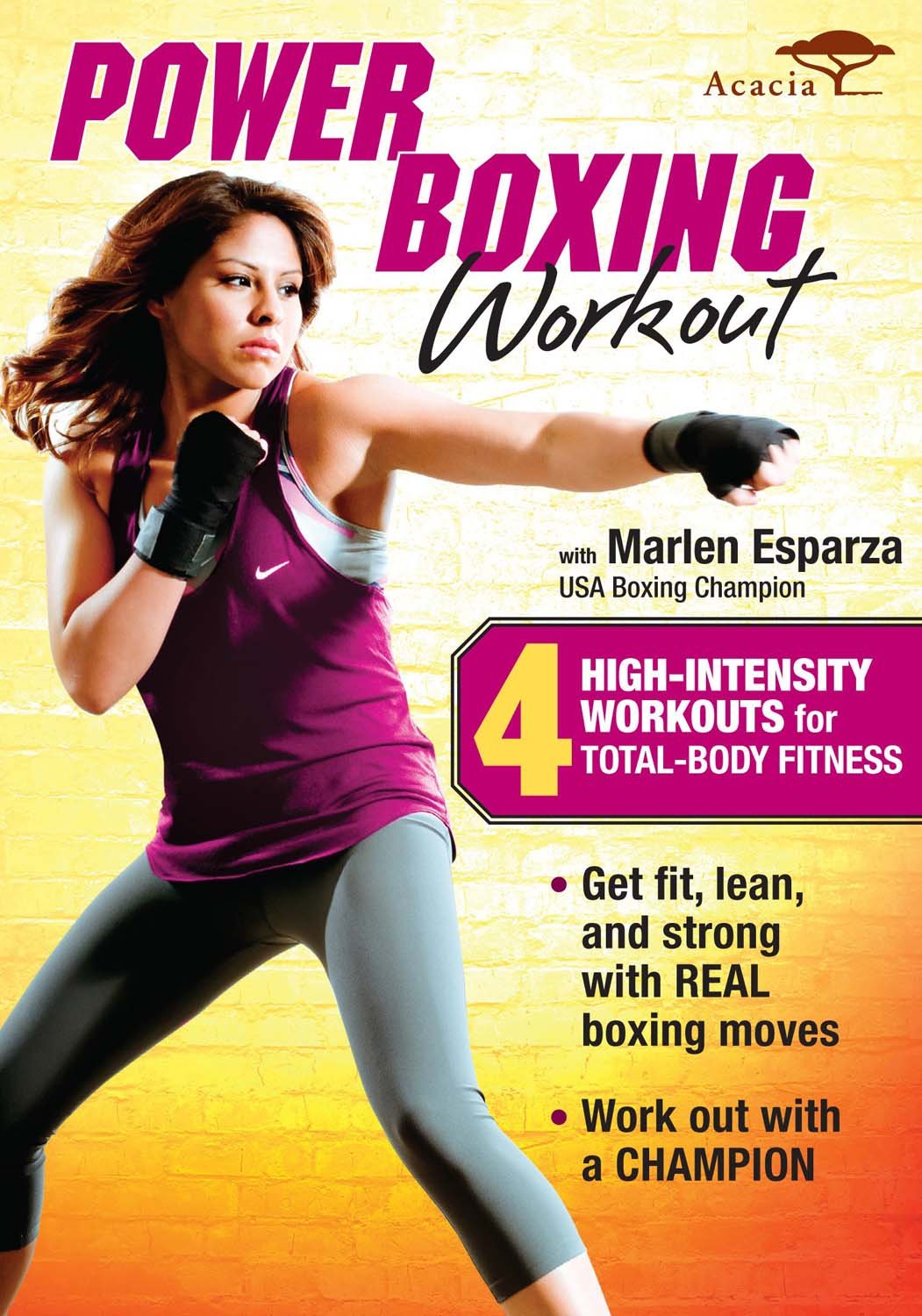 Power Boxing Workout [DVD] Movies & TV