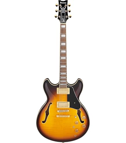 ギター Ibanez JSM10 VYS John Scofield Ibanez Jsm10-Vys John Scofield Signature Electric Guitar | eBay
