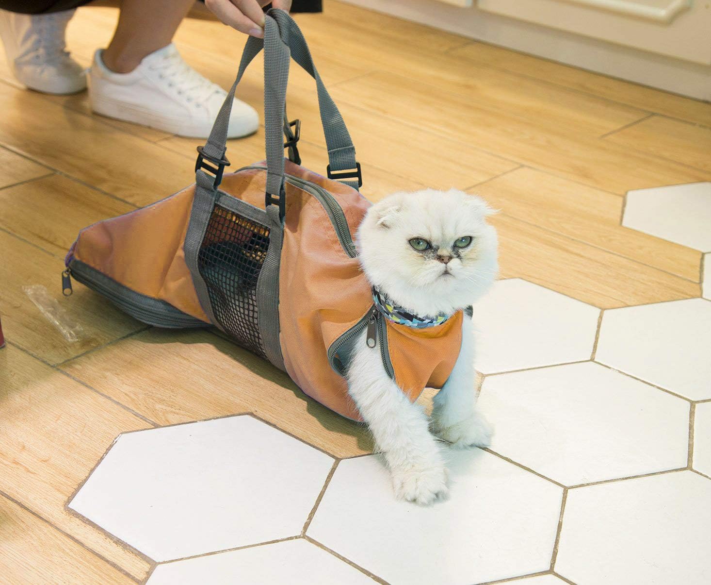 cat claw clipping service