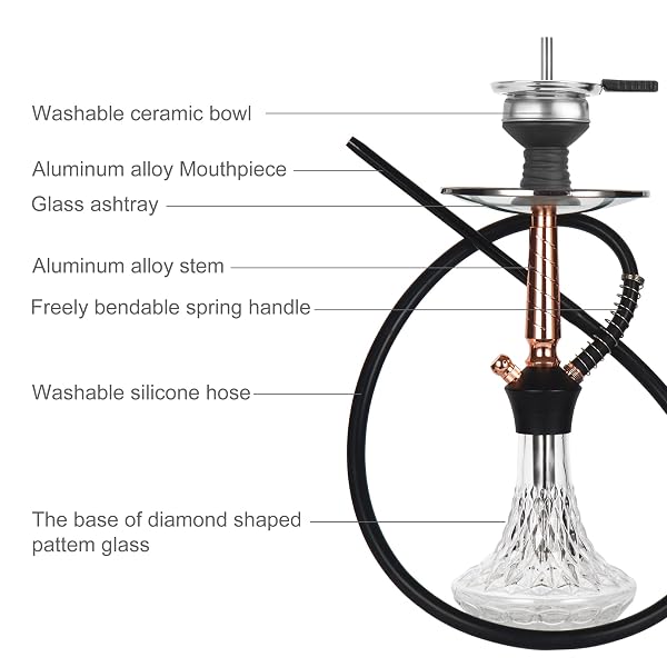 REANICE 17.5″ HOOKAH SET WITH 1 HOSE GLASS HOOKAH KIT WITH SHISHA ACCESSORIES (CLEAR) …