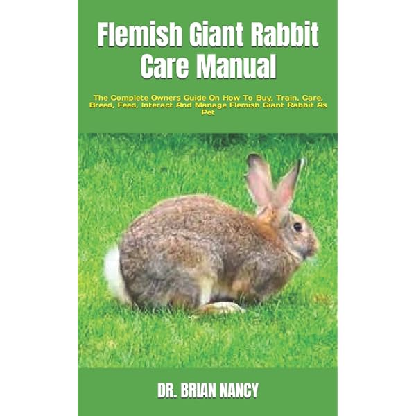 Flemish Giant Rabbits Flemish Giant Rabbit Breeding, Buying, Care
